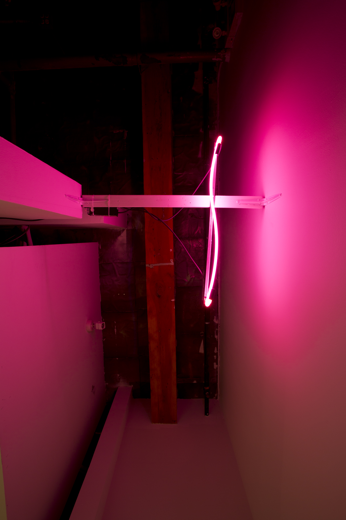 Edith Brunette and François Lemieux, installation view, pink neon light.