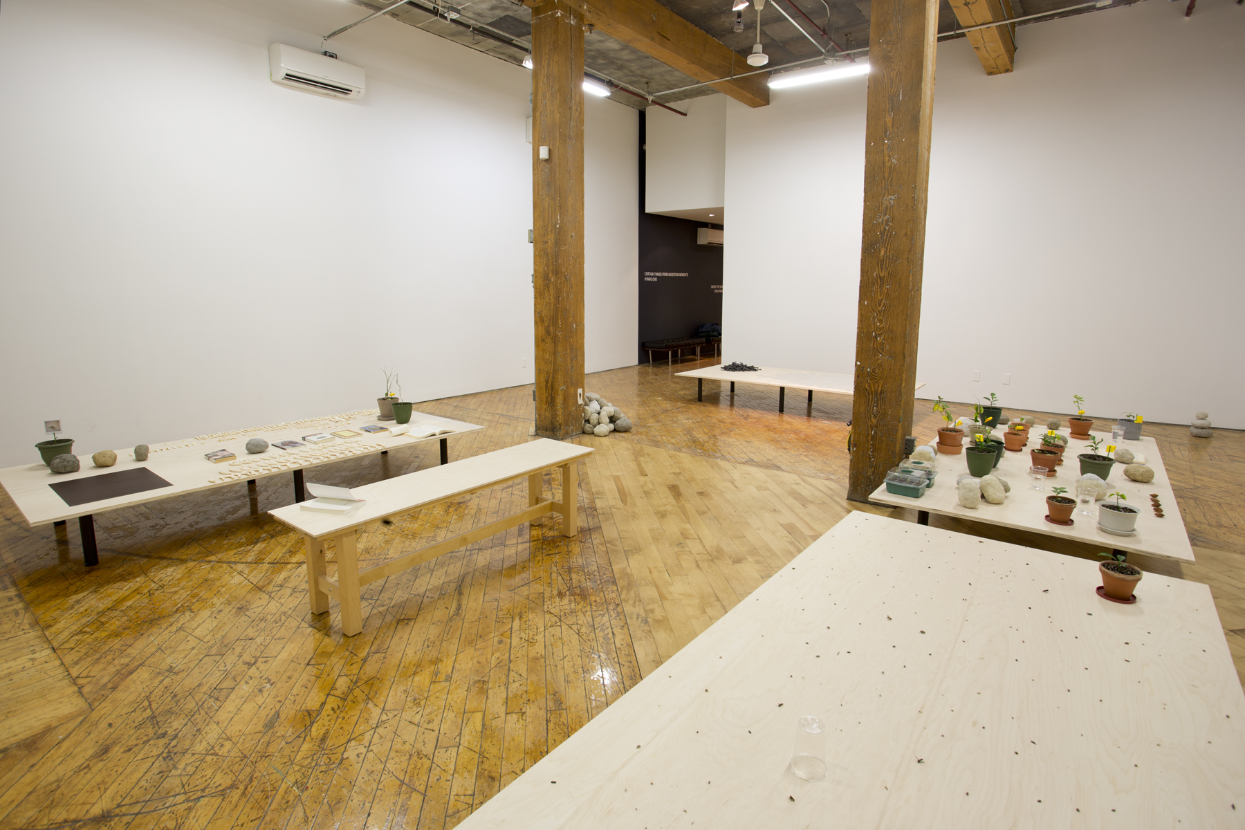 Hyang Cho, Installation based art, view of installation tables with plants on top.