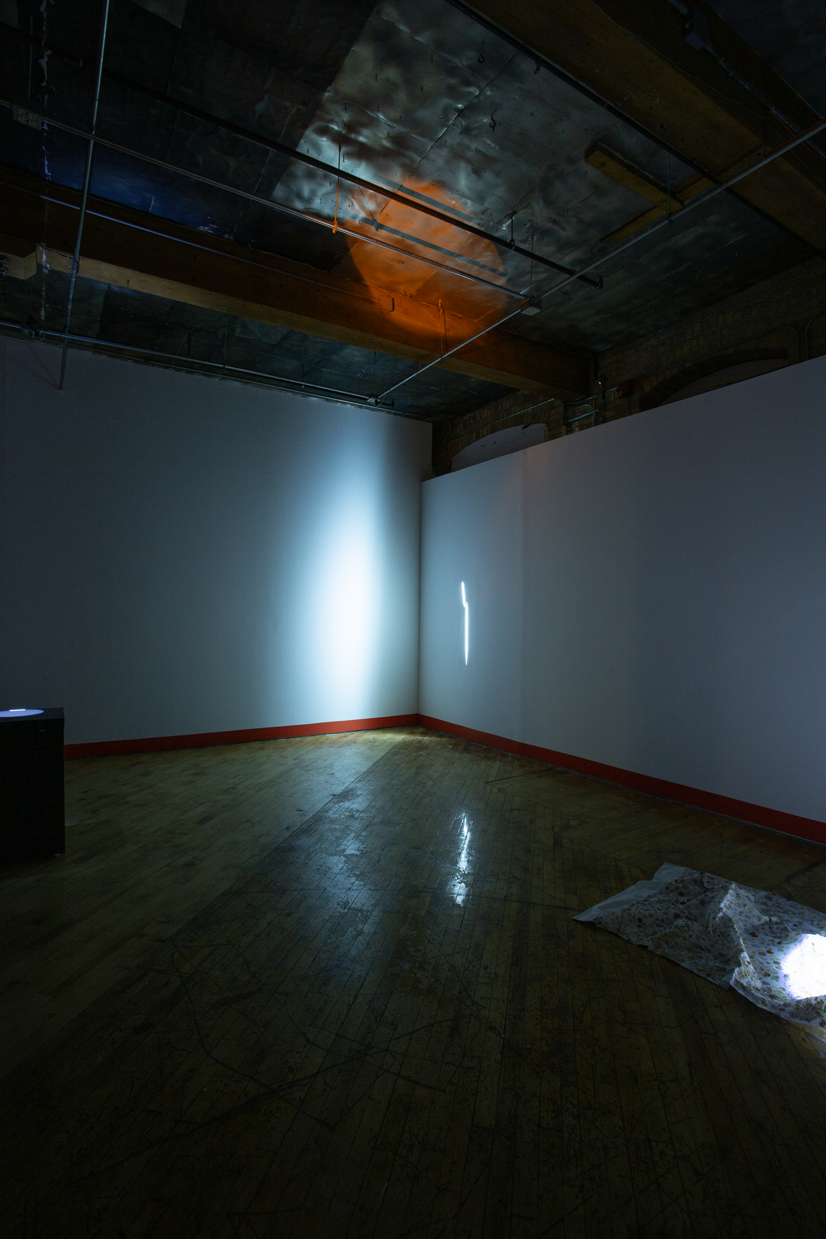 Heidi Holmes, immersive installation view,