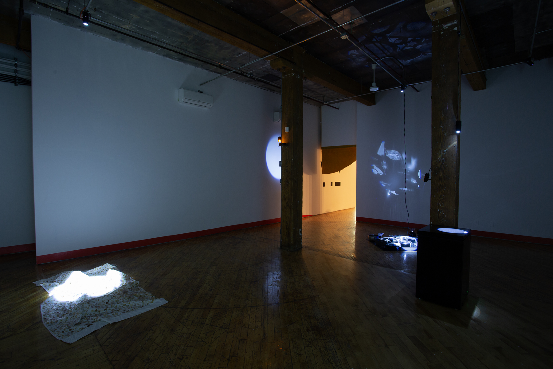 Heidi Holmes, immersive installation view.