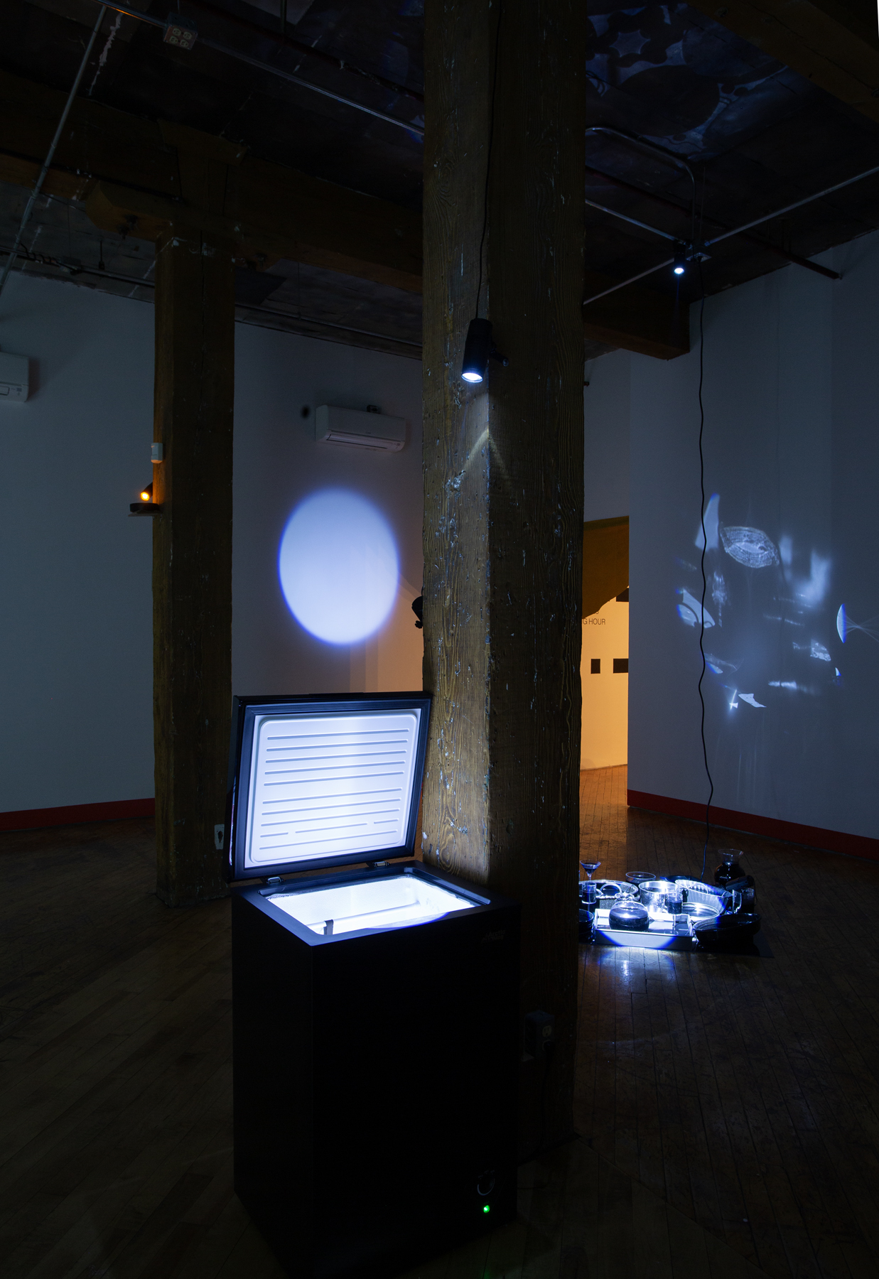 Heidi Holmes, immersive installation view.