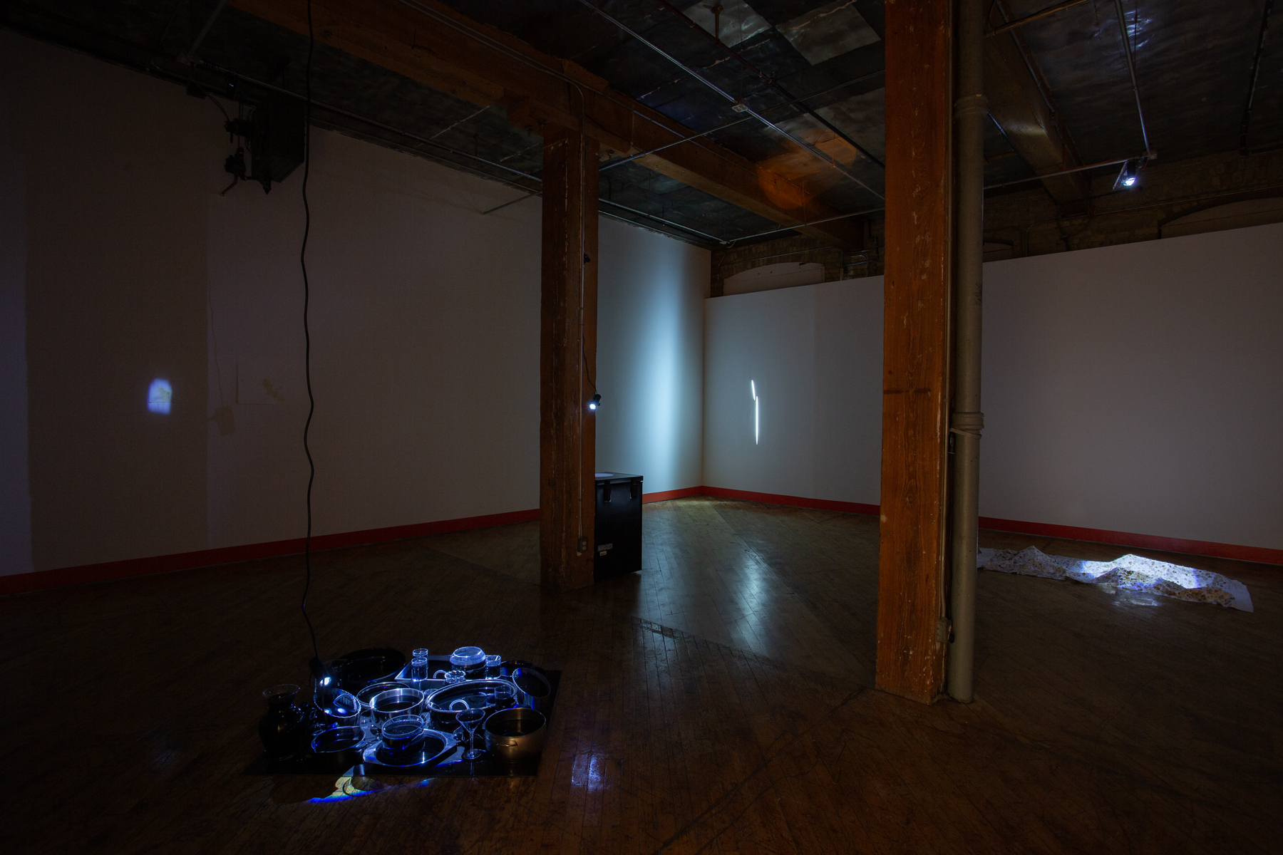 Heidi Holmes, immersive installation view.