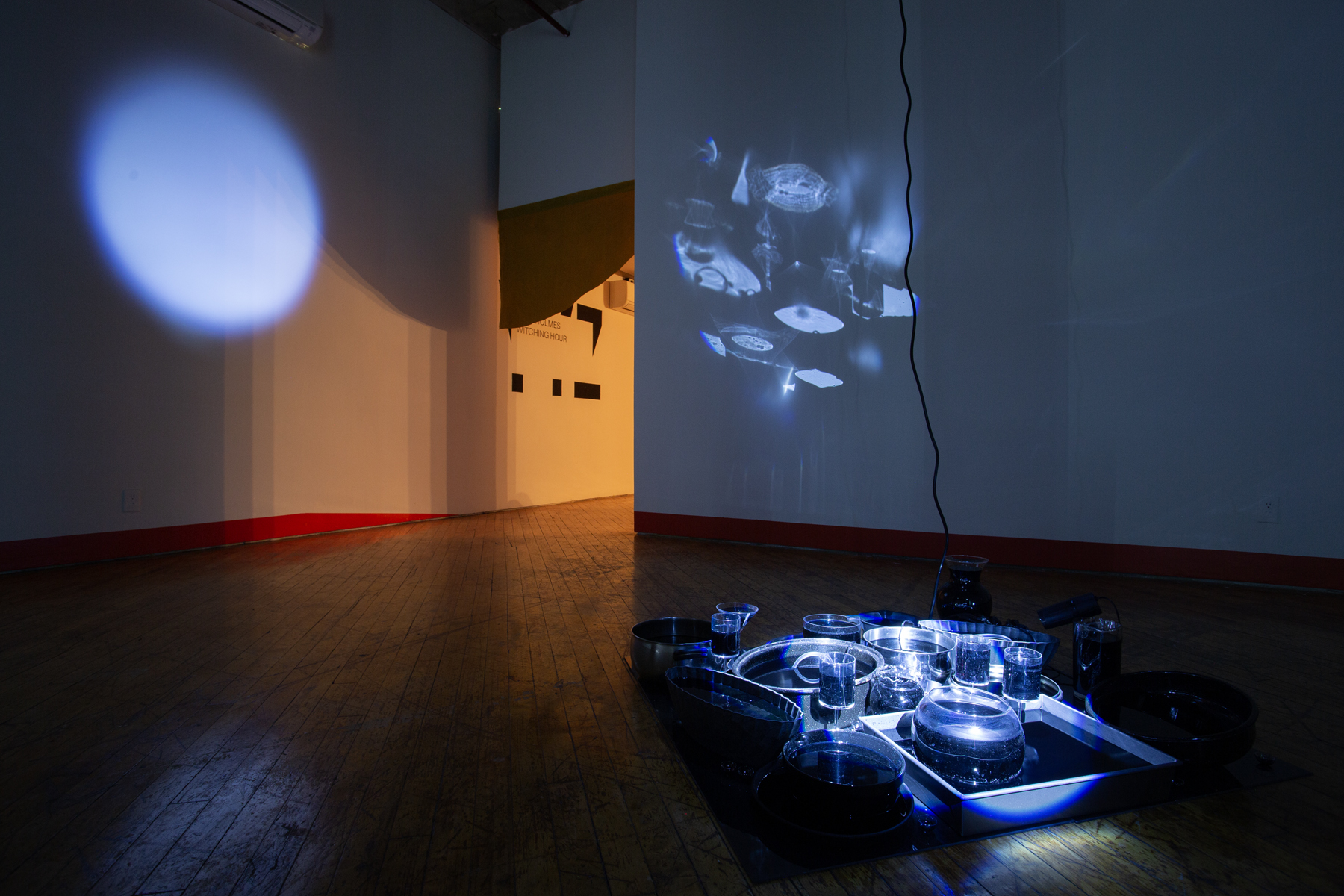 Heidi Holmes, immersive installation view.