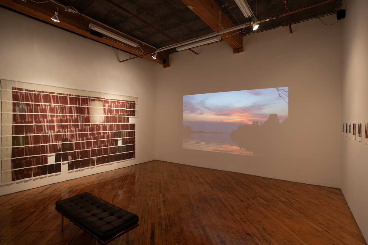 Jake Kimble: Installation view, large mural printed on paper towels, layer out in a grid formation, and video projection on the central wall.