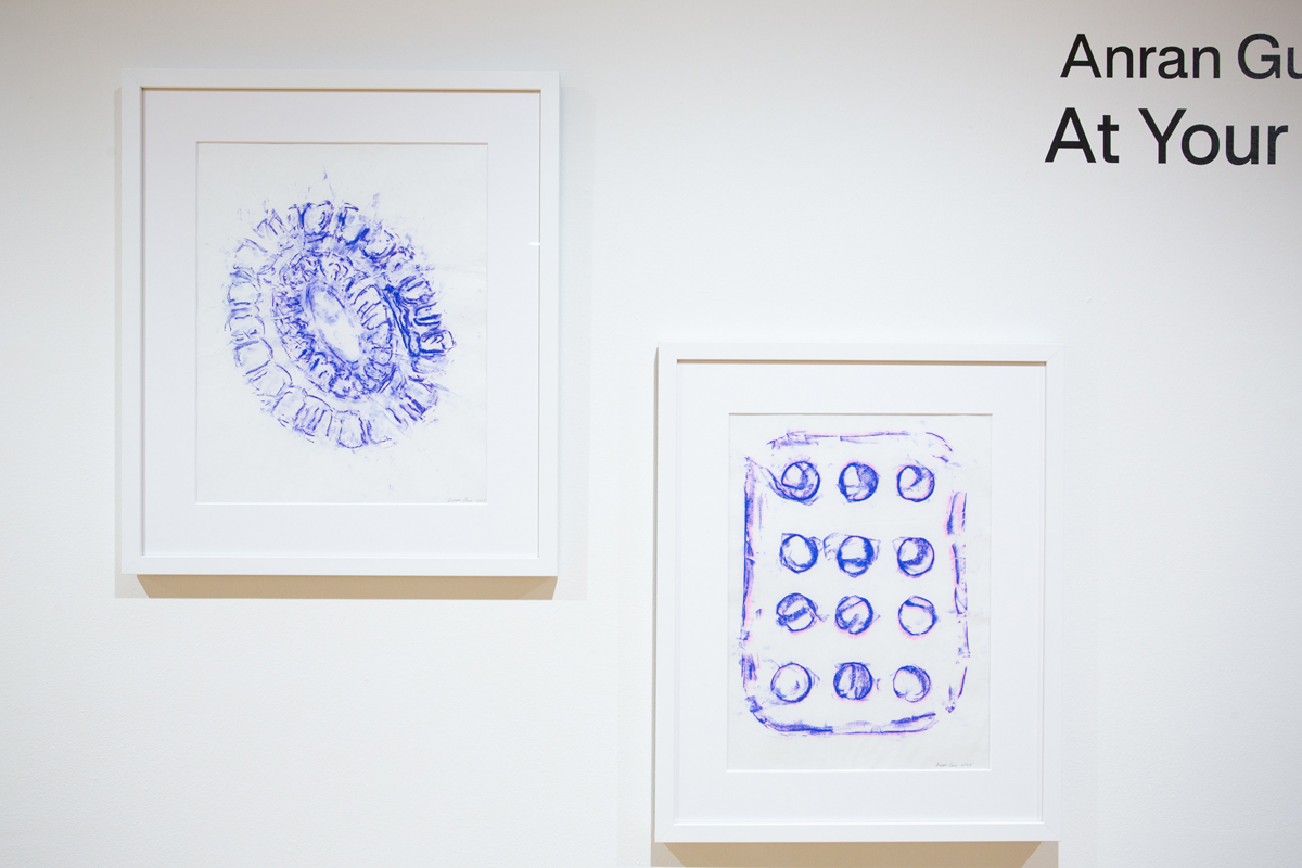 Anran Guo: Installation view, framed prints.