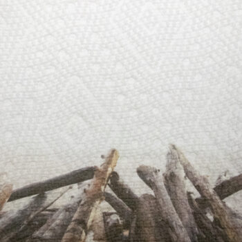 A flat paper towel at the top of the image. The bottom of the image is stacked tree sticks.