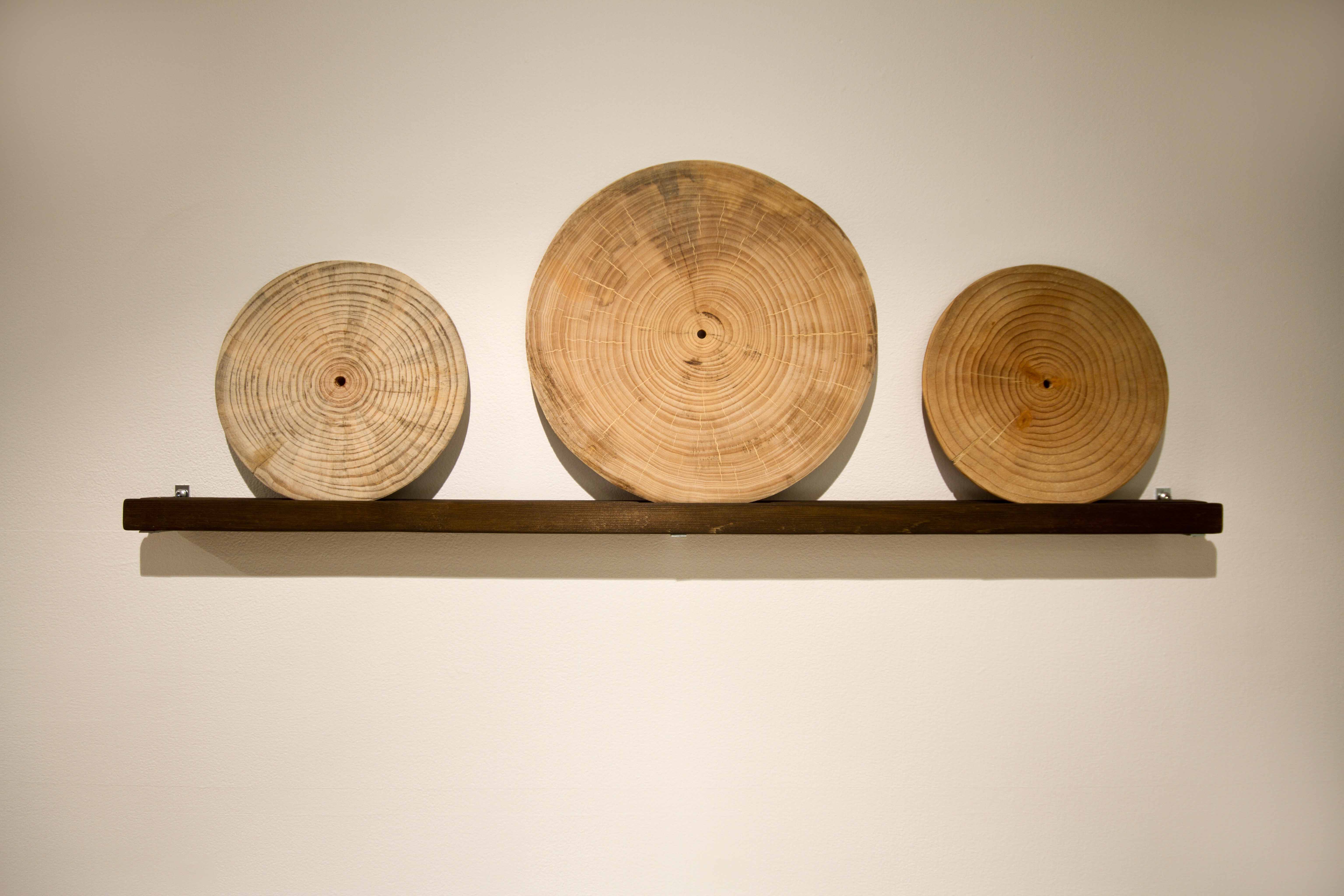 Elisa Strinna & Eva Cenghiaro: Wood Songs, view of wooden sculprures that resemble a record, mounted on the wall.