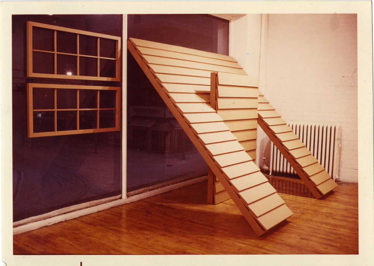 Brian Groombridge: Documentation