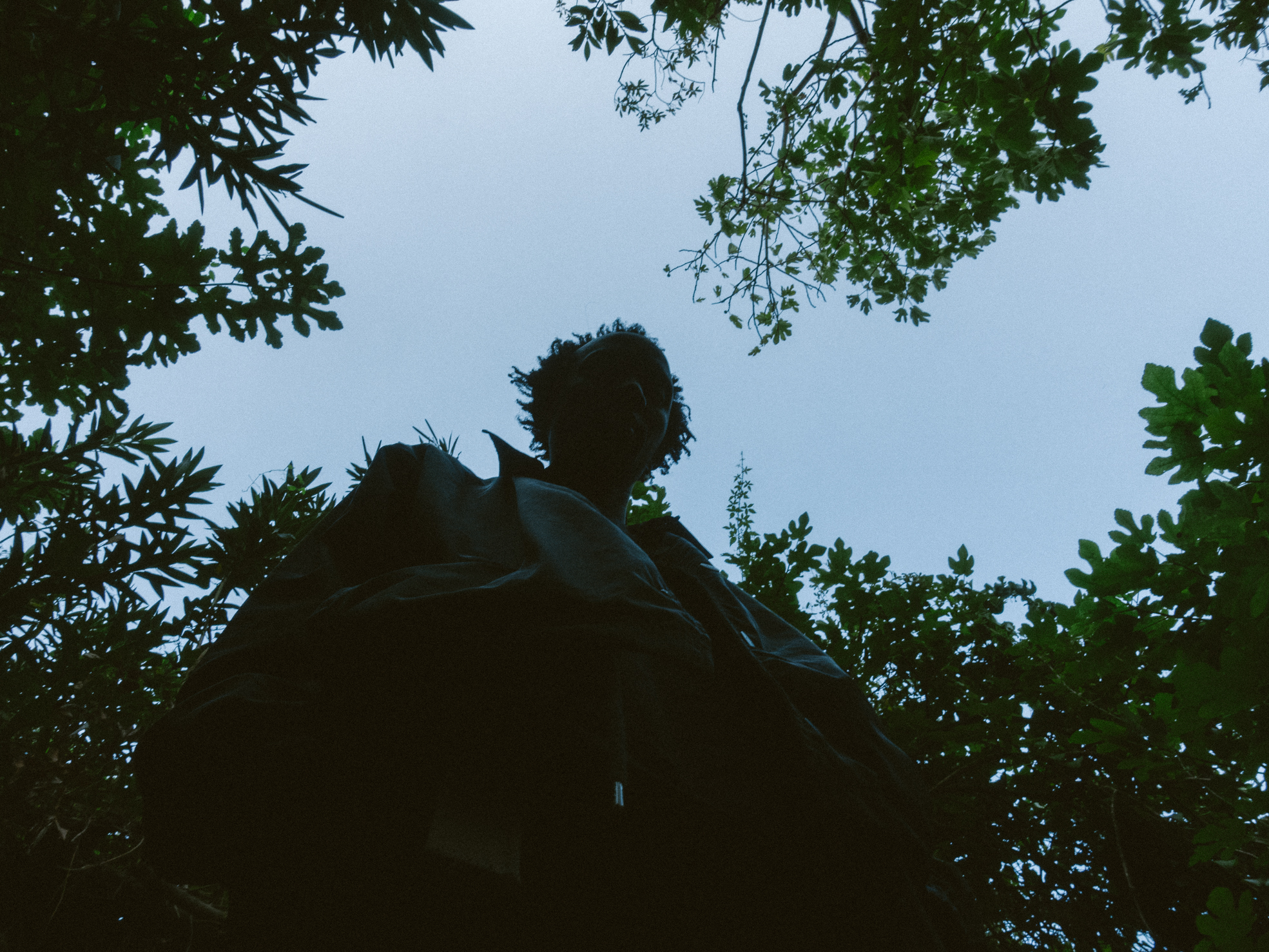 Worms eye view of silhouetted man surrounded by various plants and trees